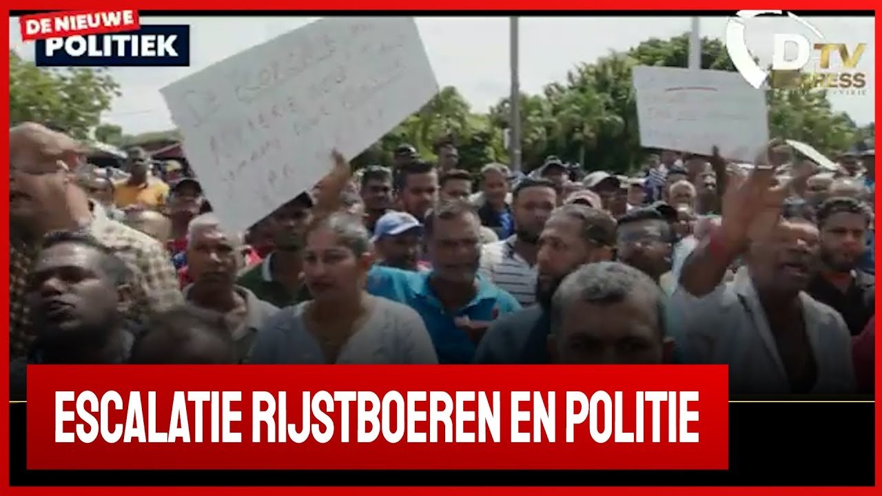 Rijstboeren bij DC Nickerie