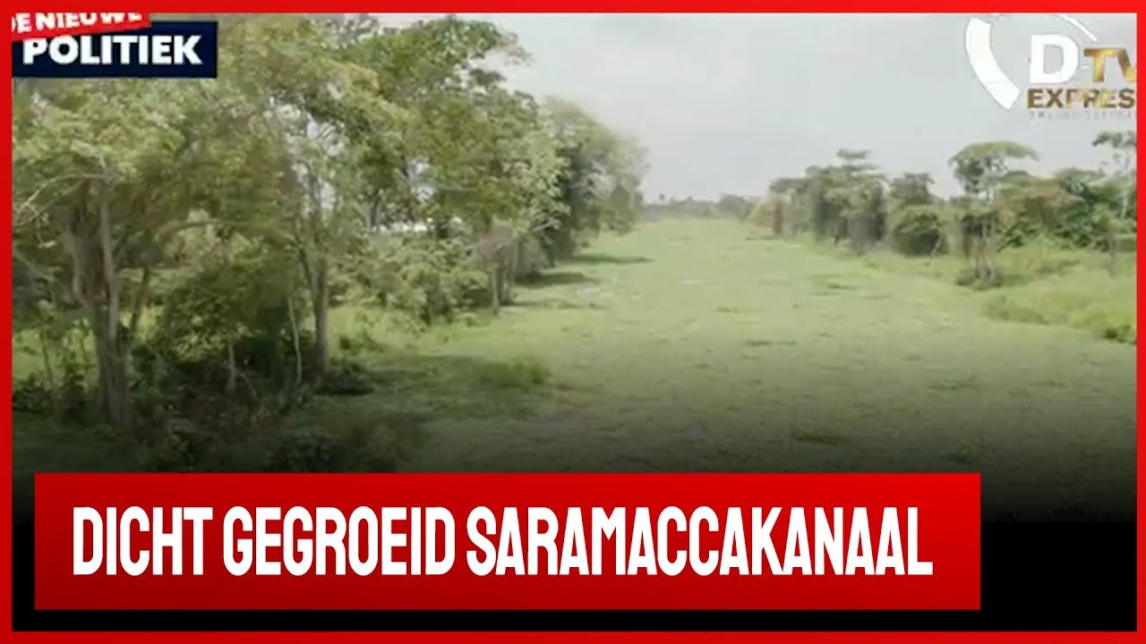 Saramaccakanaal dicht gegroeid