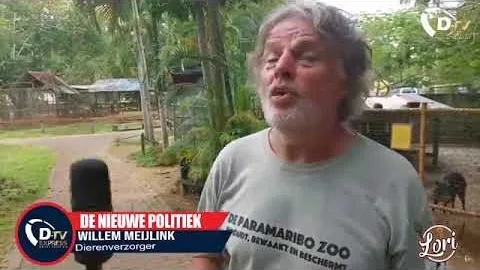 Flitsen uit Paramaribo zoo over kaaimannen