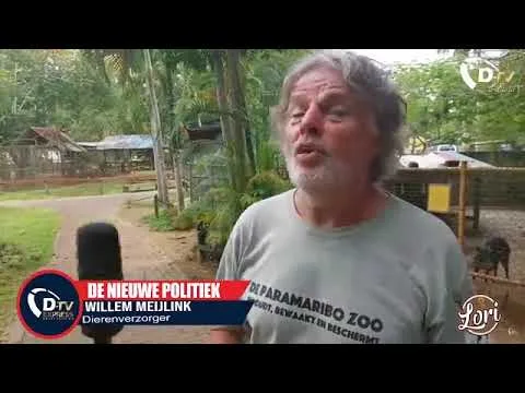 Flitsen uit Paramaribo zoo over kaaimannen