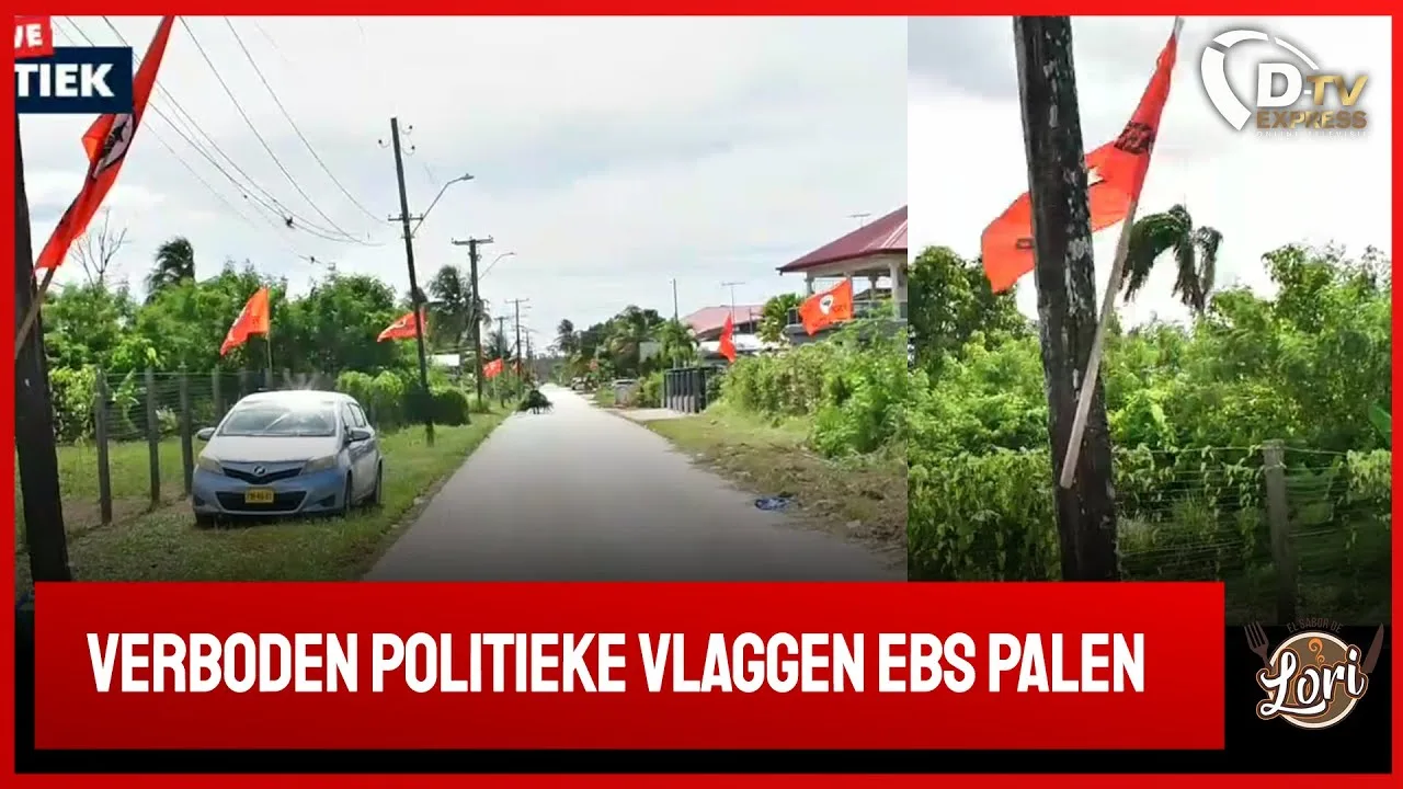 Klachten over vlaggen politieke partijen VHP (Suriname)