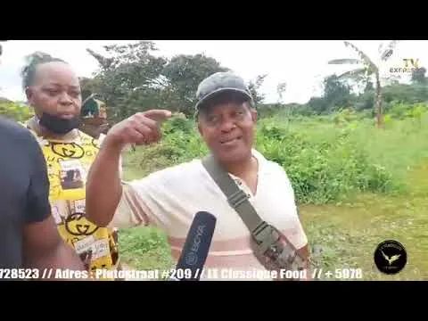 Radeloze burgers over ondergelopen have en goed Creola/Saramacca