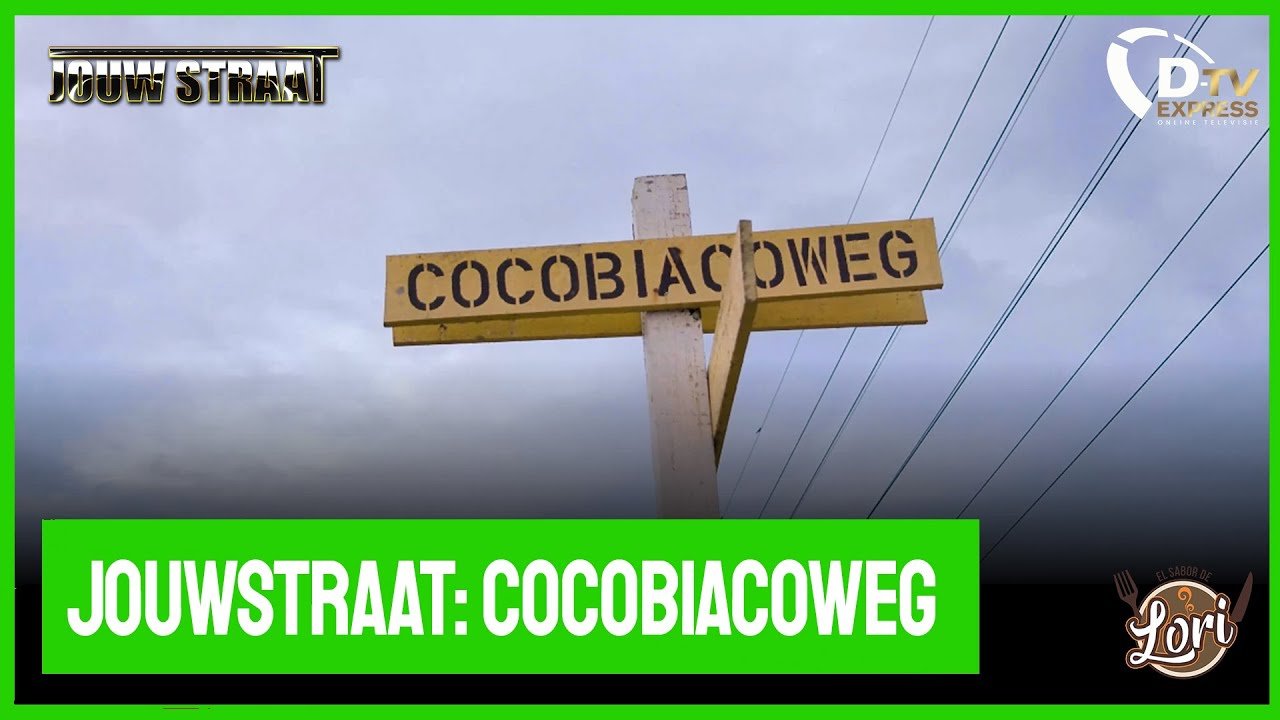COCOBIACOWEG, Paramaribo (Suriname 2024)