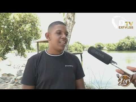 criticus Jamiro Pink over brandende actuele politieke zaken