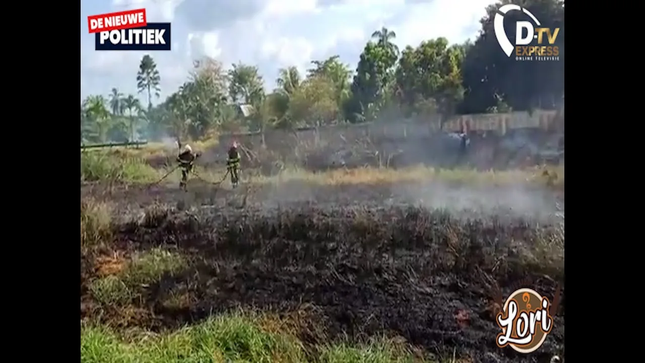 De Nieuwe Politiek Live. Grote bosbrand te highway