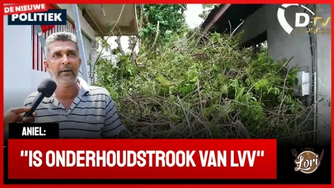 Boom op woning gevallen