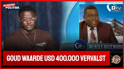 Directeur Grassalco over Nep goud in kluis