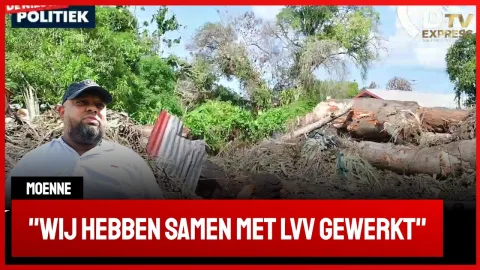 Directeur Moenne over omgevallen boom