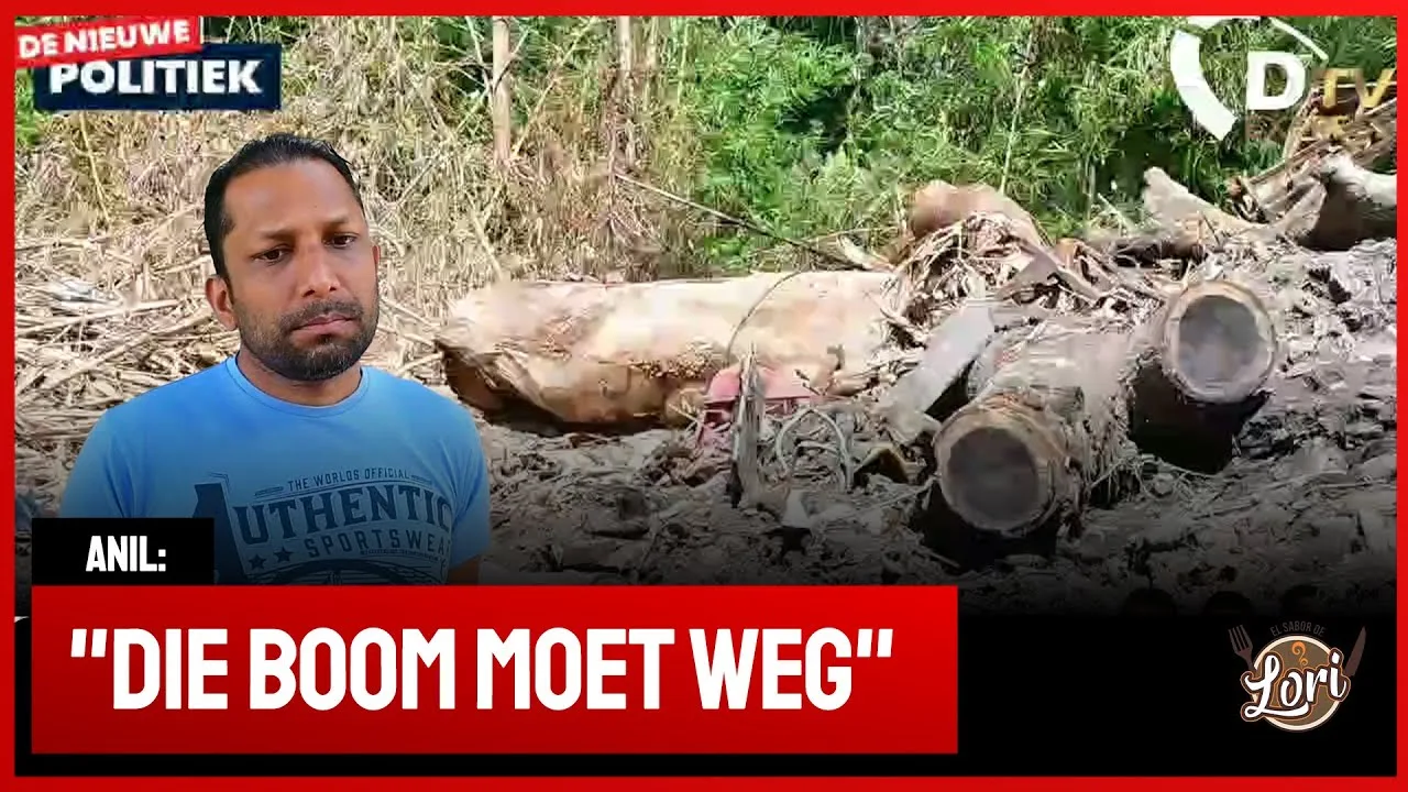 Omgevallen boom vernietigd woning