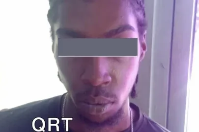 Verdachte ter zake inbraak aangehouden aan Van ’t Hogerhuysstraat