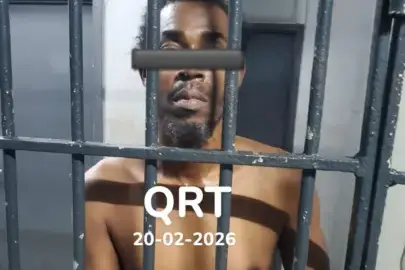 Verdachte aangehouden na vernieling aan Richard Voillairestraat