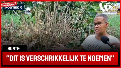 Boomskreek meer dan 10 jaren niet opgehaald