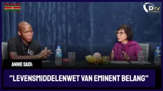 Coalitiebelang of landsbelang: waar blijft verandering?